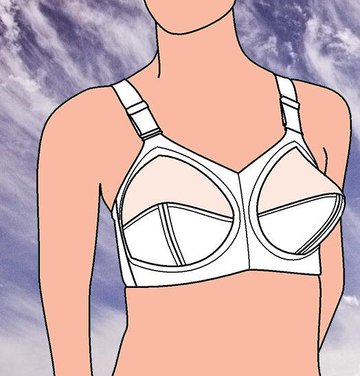 Mvtver, CC0, via Wikimedia Commons (https://commons.wikimedia.org/wiki/File:Classic_bra.gif)