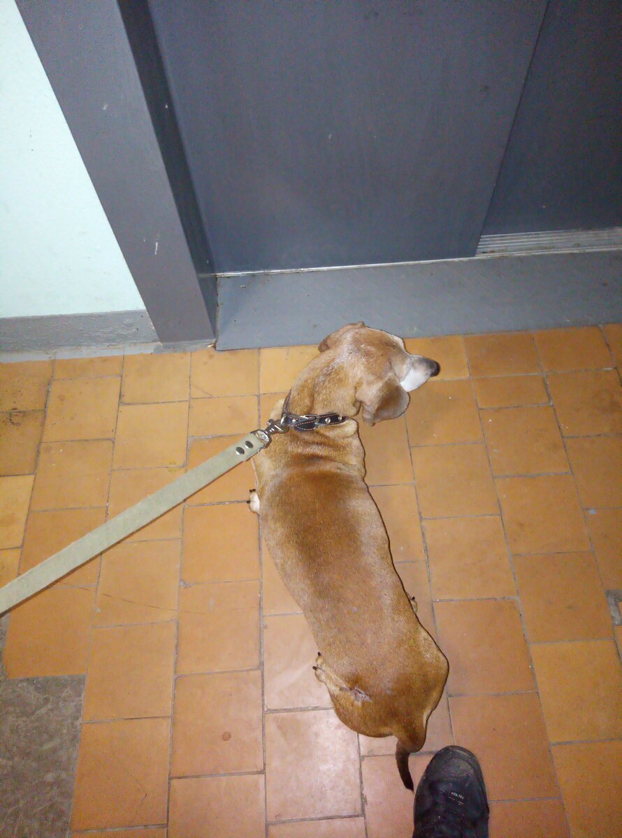 Фото из личного архива.