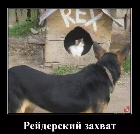Фото из открытого источника