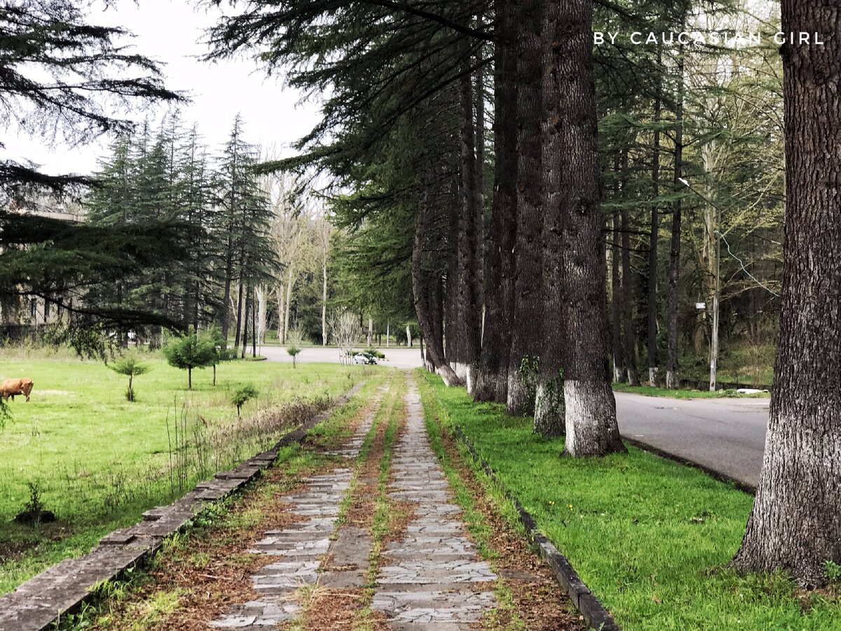 Город утопает в зелени хвойных деревьев. Но дышать полной грудью некому