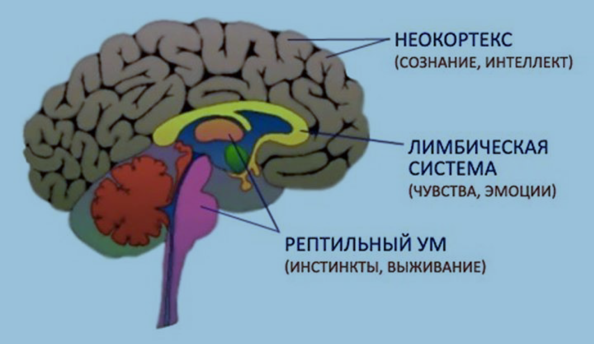 Практика 