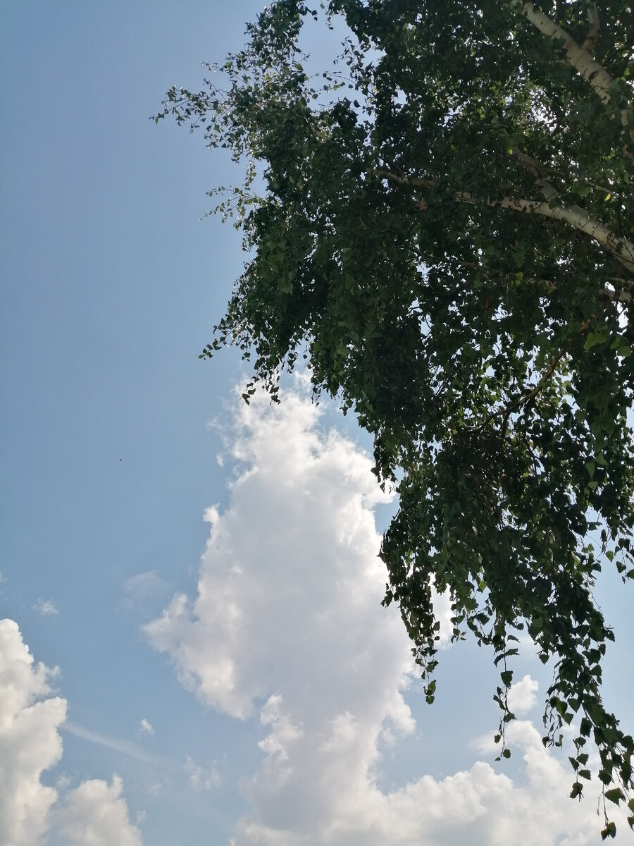 Фото из личной коллекции