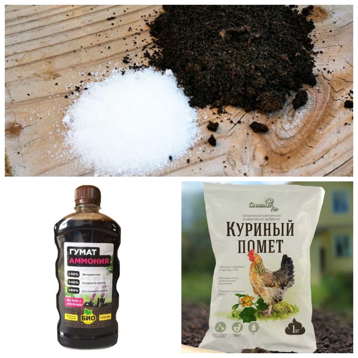 3 важные подкормки огурцов, урожая будет в 3 раза больше, рассказываю, как применять1