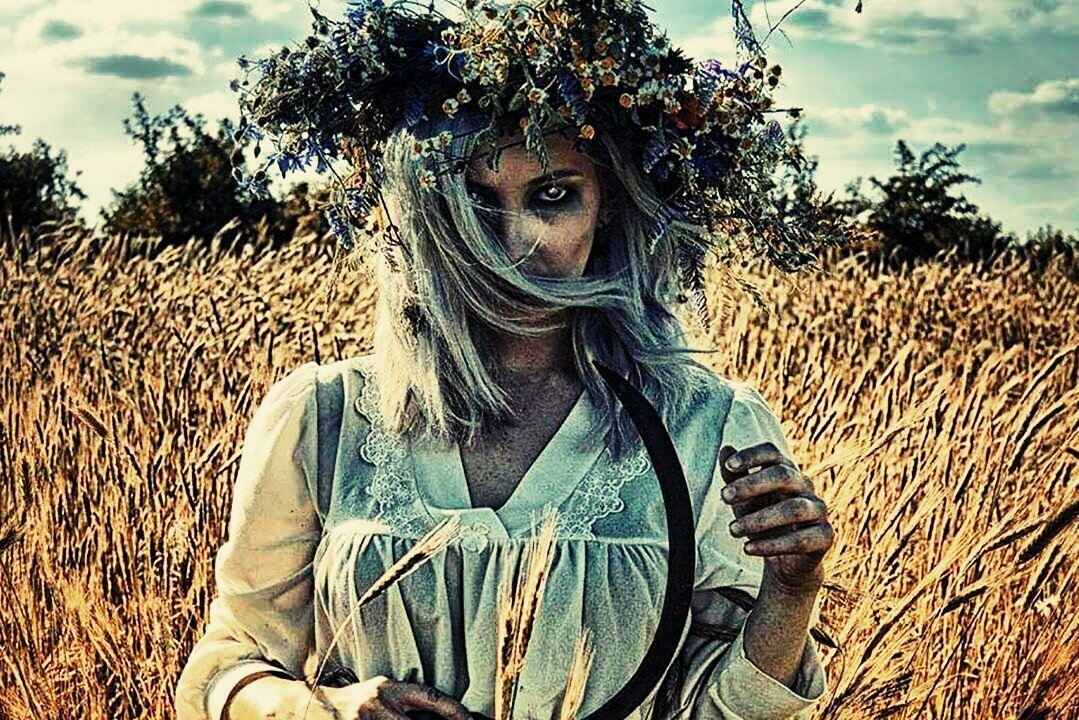 Изображение из интернета. 