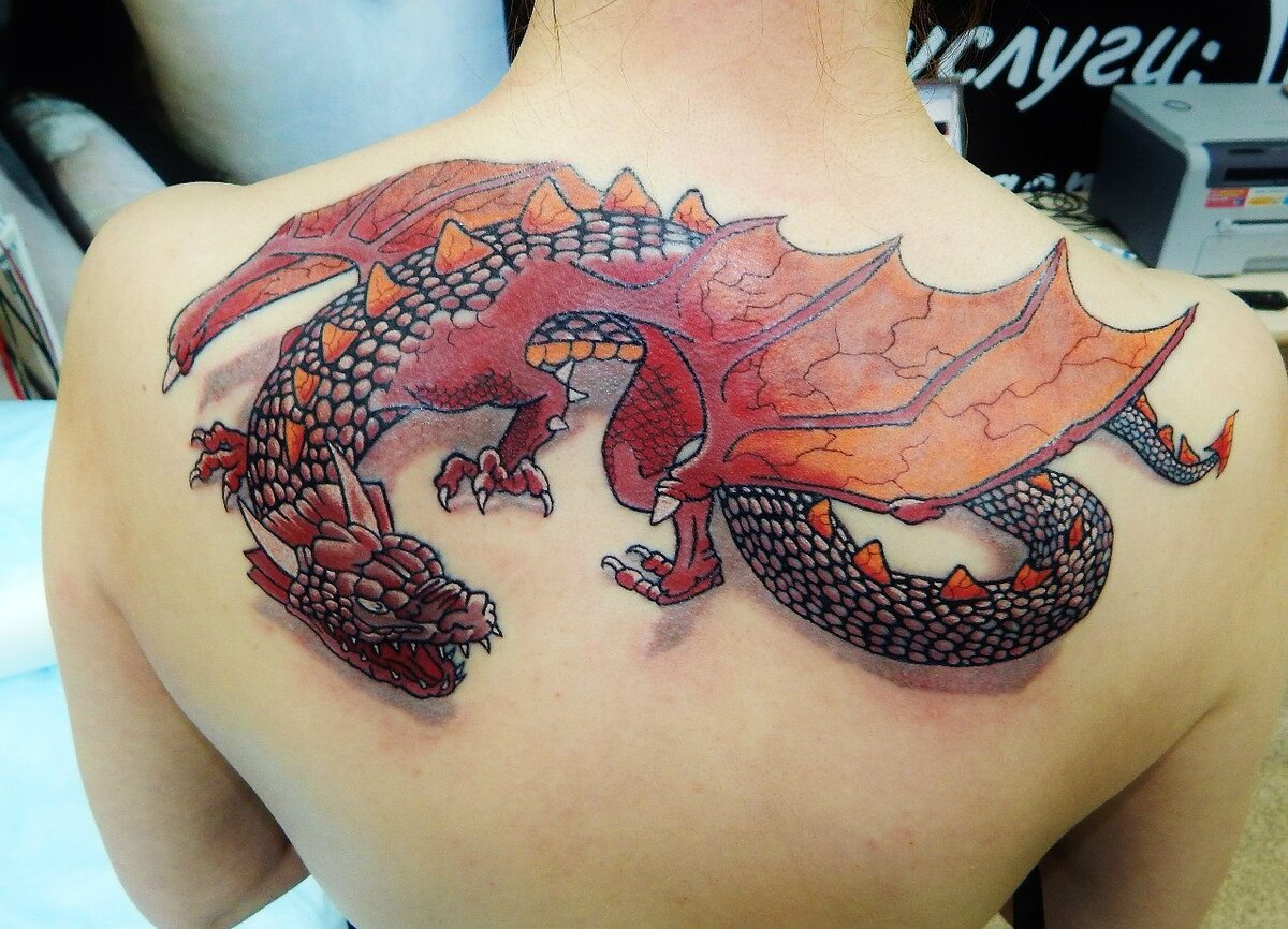 Тату дракон цветной на спине