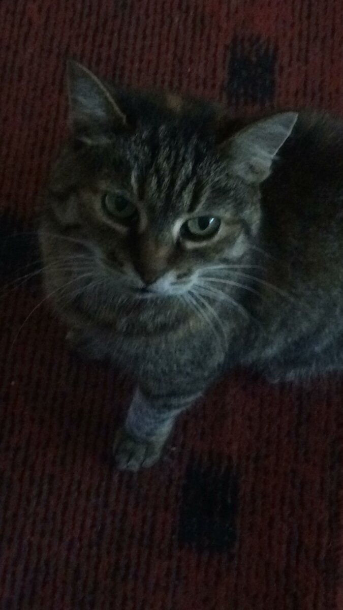 Луша. Фото автора