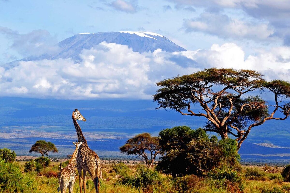 Фото из сети