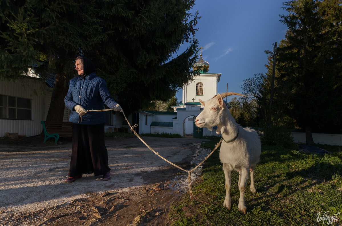 Тульский фотограф Илья Гарбузов и Никольский храм | «Тульские новости» |  Дзен