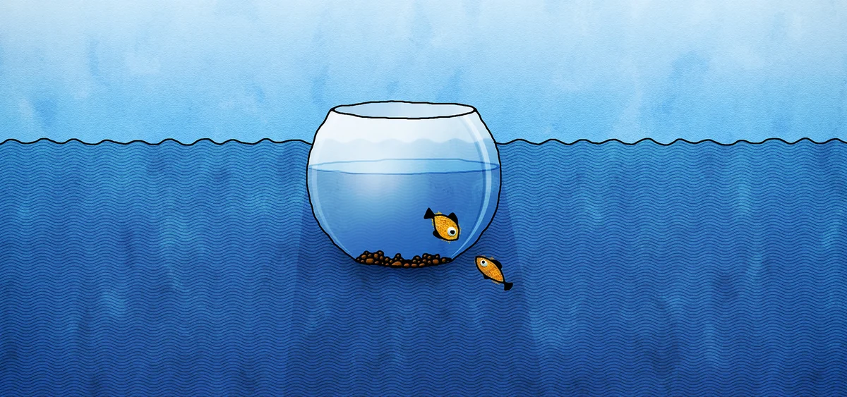 Покинуть зону комфорта. Надо выходить из зоны комфорта в зону максимального комфорта. Зона ком. Почему нужно выходить. Почему нужно выходить.