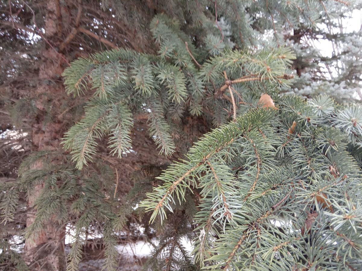 Фотография из личного архива автора