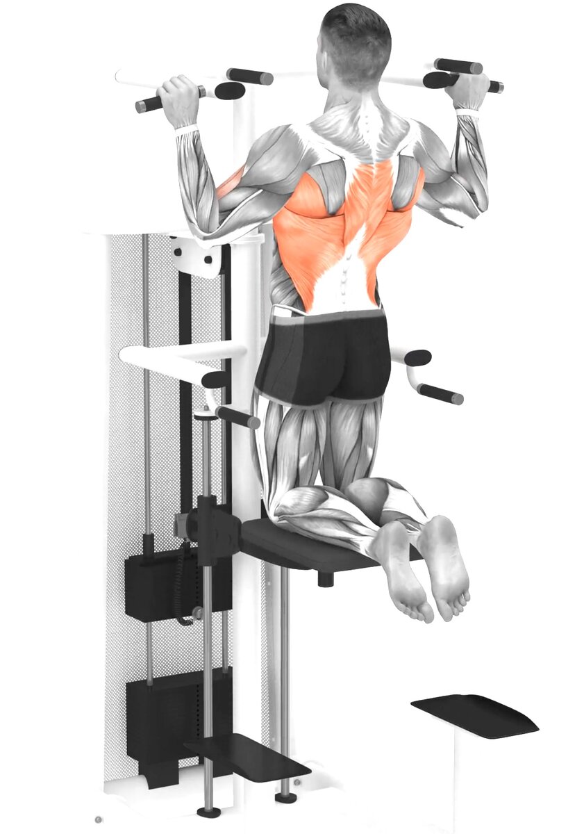 Сводите лопатки и держите грудь расправленной, тяните ее вверх при тяге грифа вниз.