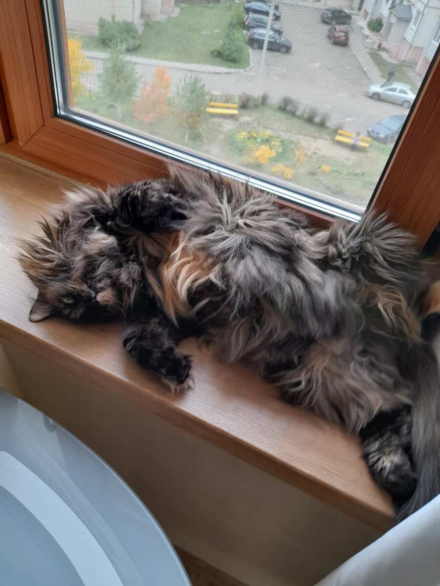 Время отдыха