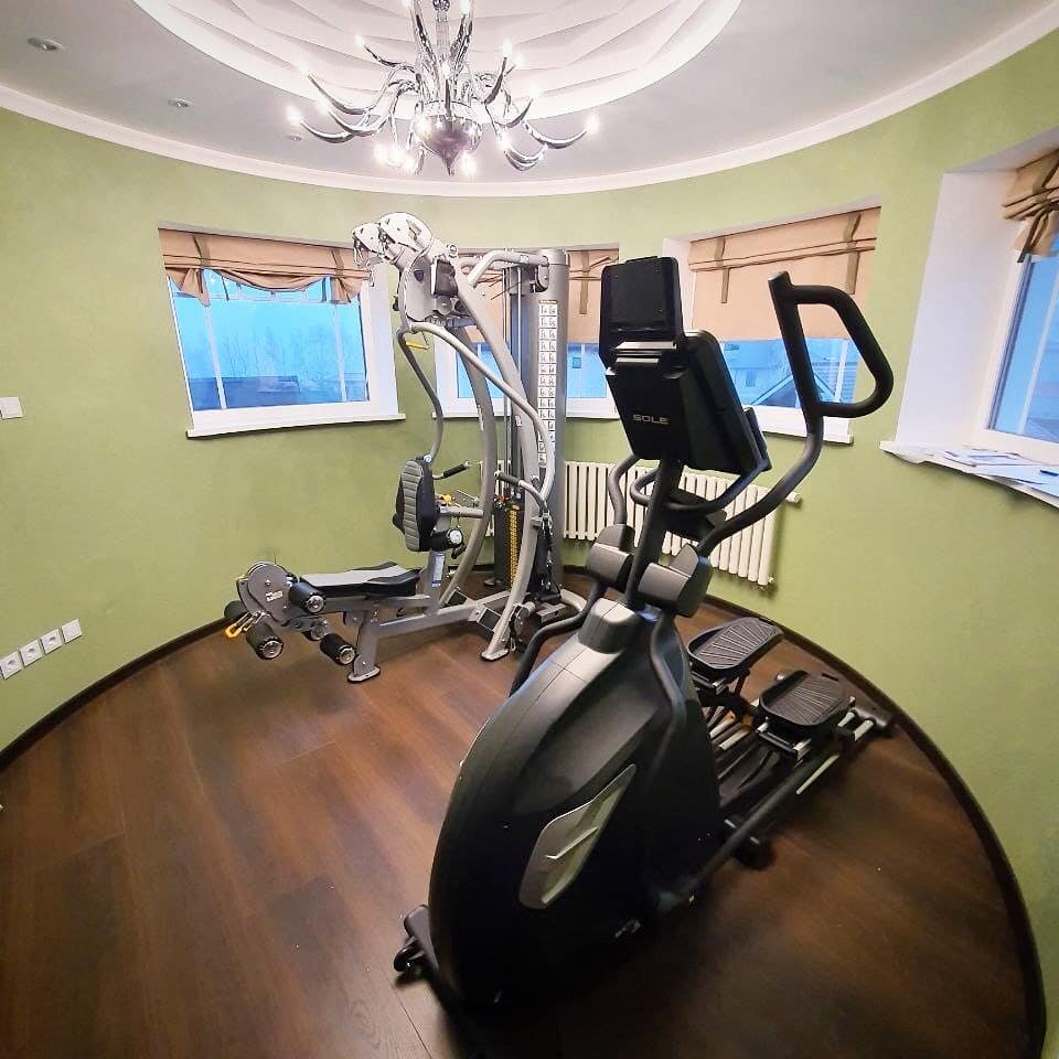 на фото слева направо: TuffStuff SXT-550, SoleFitness E95S 2019