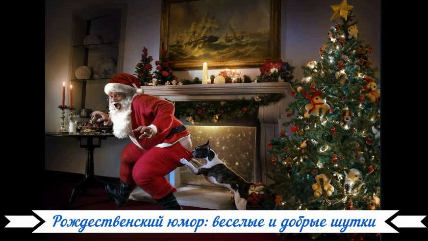 Фото взято с Яндекс. картинки