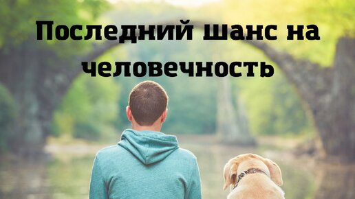 Последний шанс на человечность (стихи)