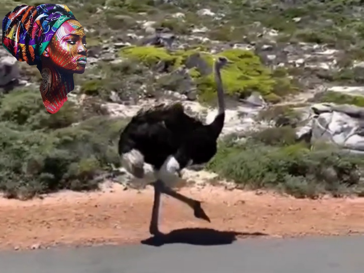 Страус Оксаны :)