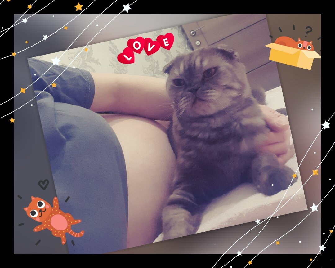 "Этот" точно знает когда и ждёт очень🥰