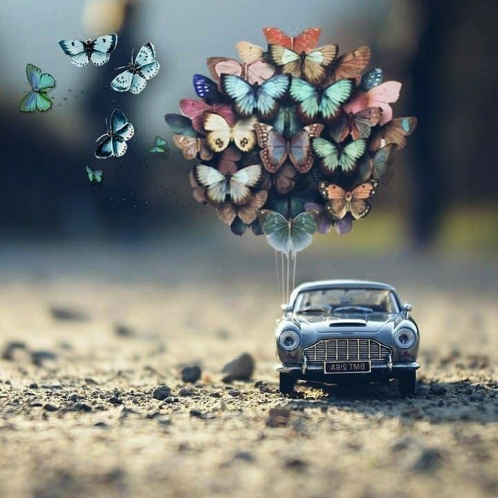 Источник фото: Яндекс. Картинки 