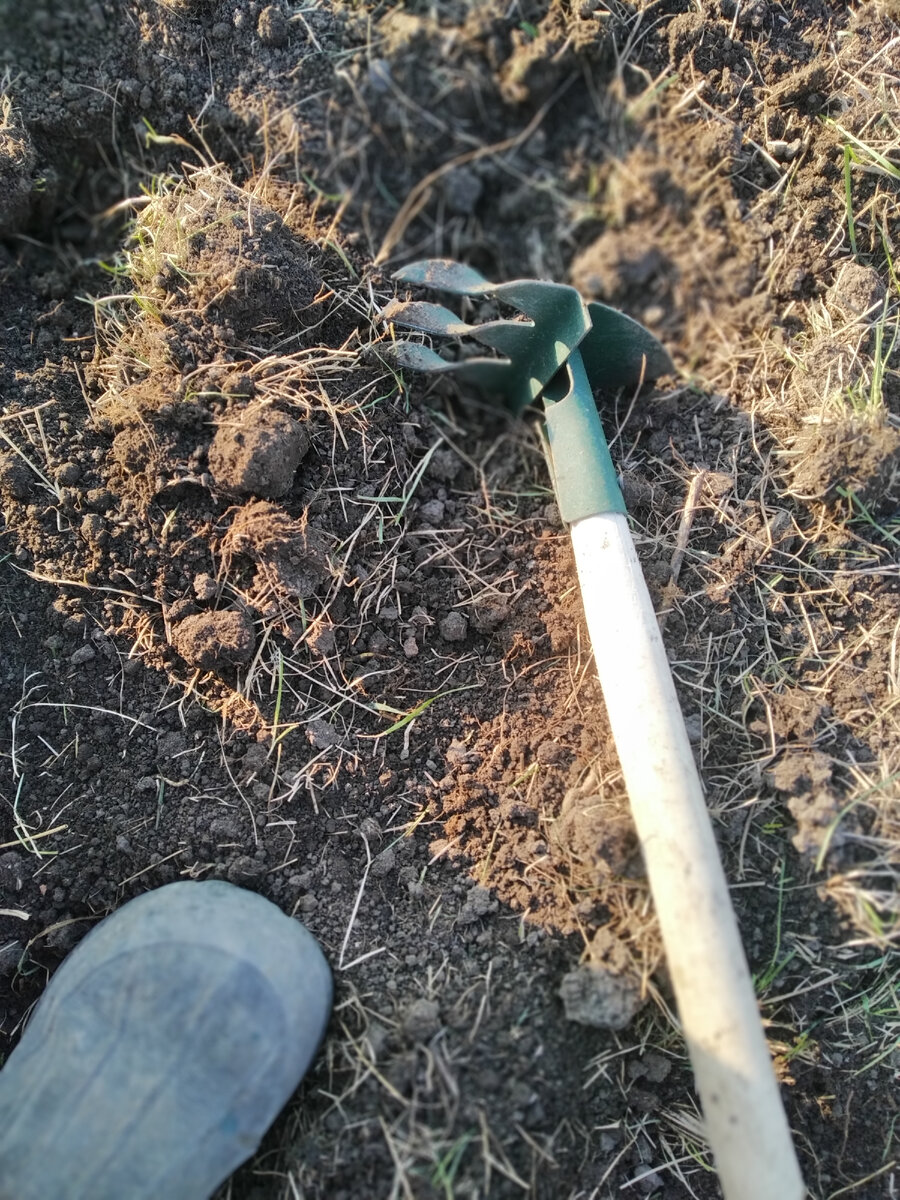 Возлагаю также свои надежды отчасти на личный спортзал- огород. 