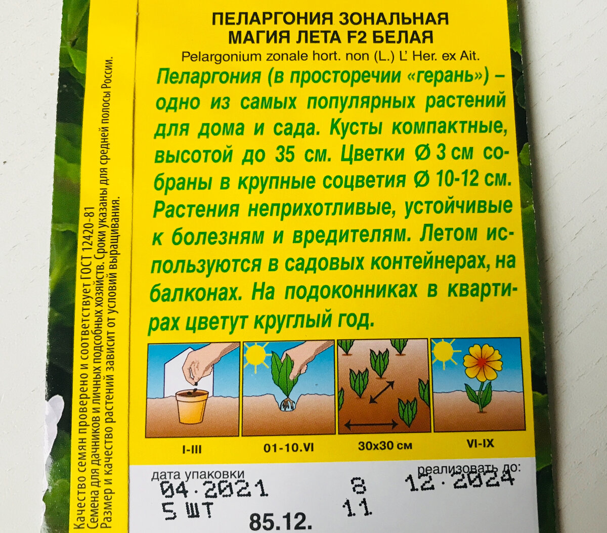 Пеларгония зональная (герань) ✔️ Выращивание из семян в домашних условиях  🌱 Как растить пеларгонию день за днём ➡️ | Все о доме и красоте ❤️ | Дзен