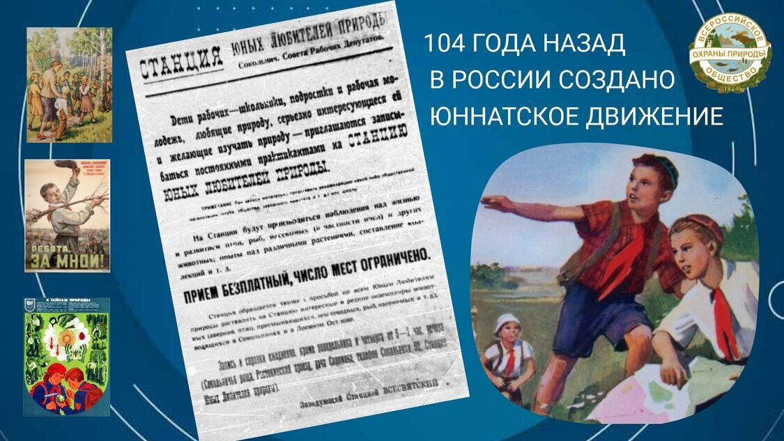 Участники Движения Первых Новоалексеевкой школы приняли активное участие в масшт