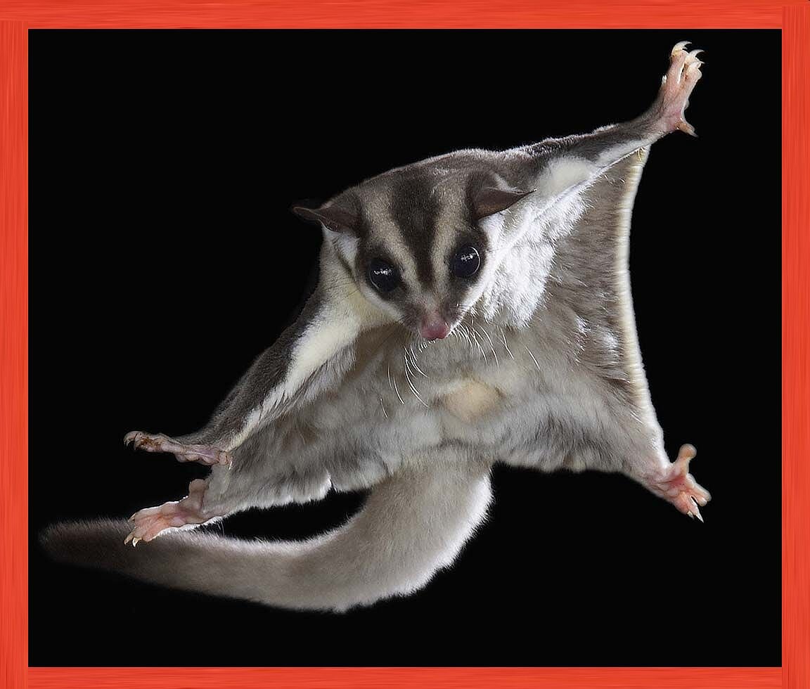 Полетели? Фото из архива "7 секретов"