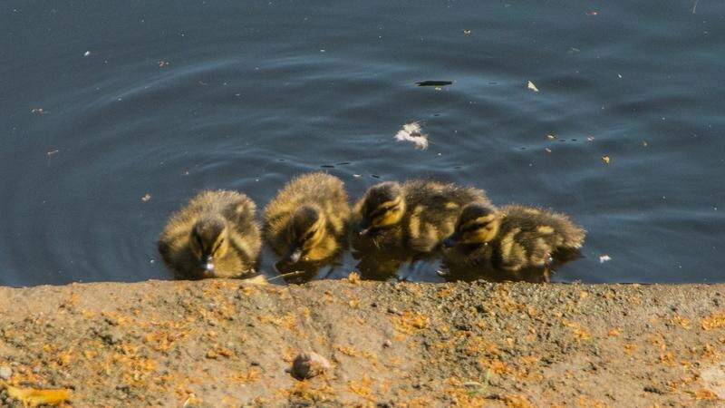    Фото: пресс-служба ГРМ