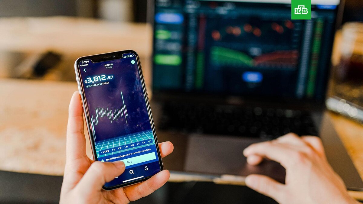    Фото: Austin Distel / unsplash.com