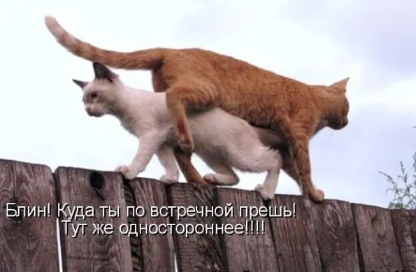 Мастерство! 