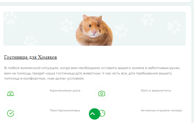 Фото с сайта гостиницы для хомяков /https://peredergka.ru/