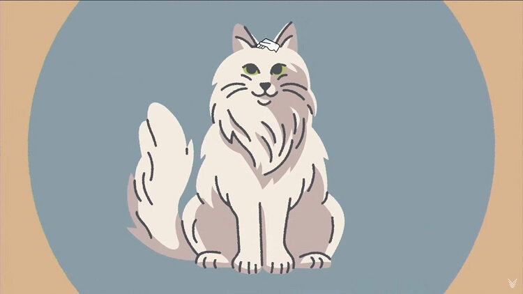  📷    Источник изображения: Max Inferno