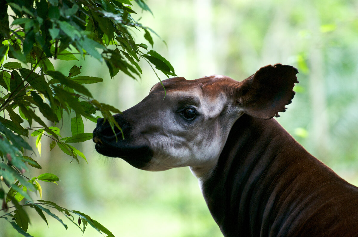 Фото из открытых источников