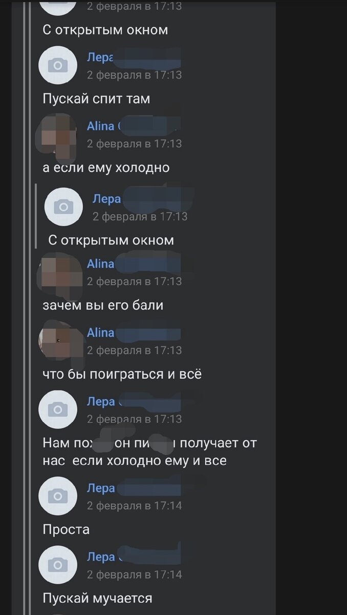 Выдержка из переписки с бывшей хозяйкой ребят. Подробнее - по ссылке в начале статьи