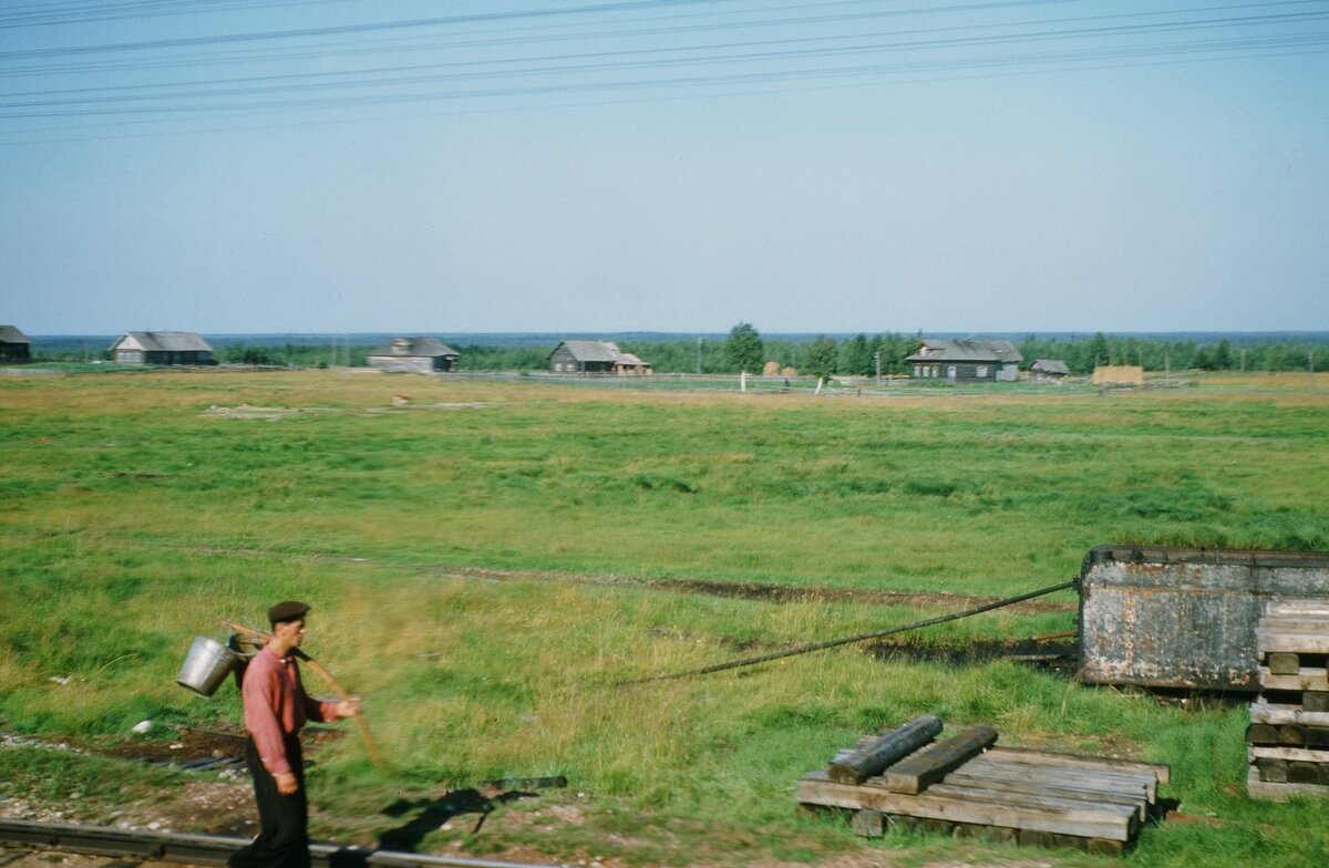 Из окна поезда в Мурманск, июль 1953