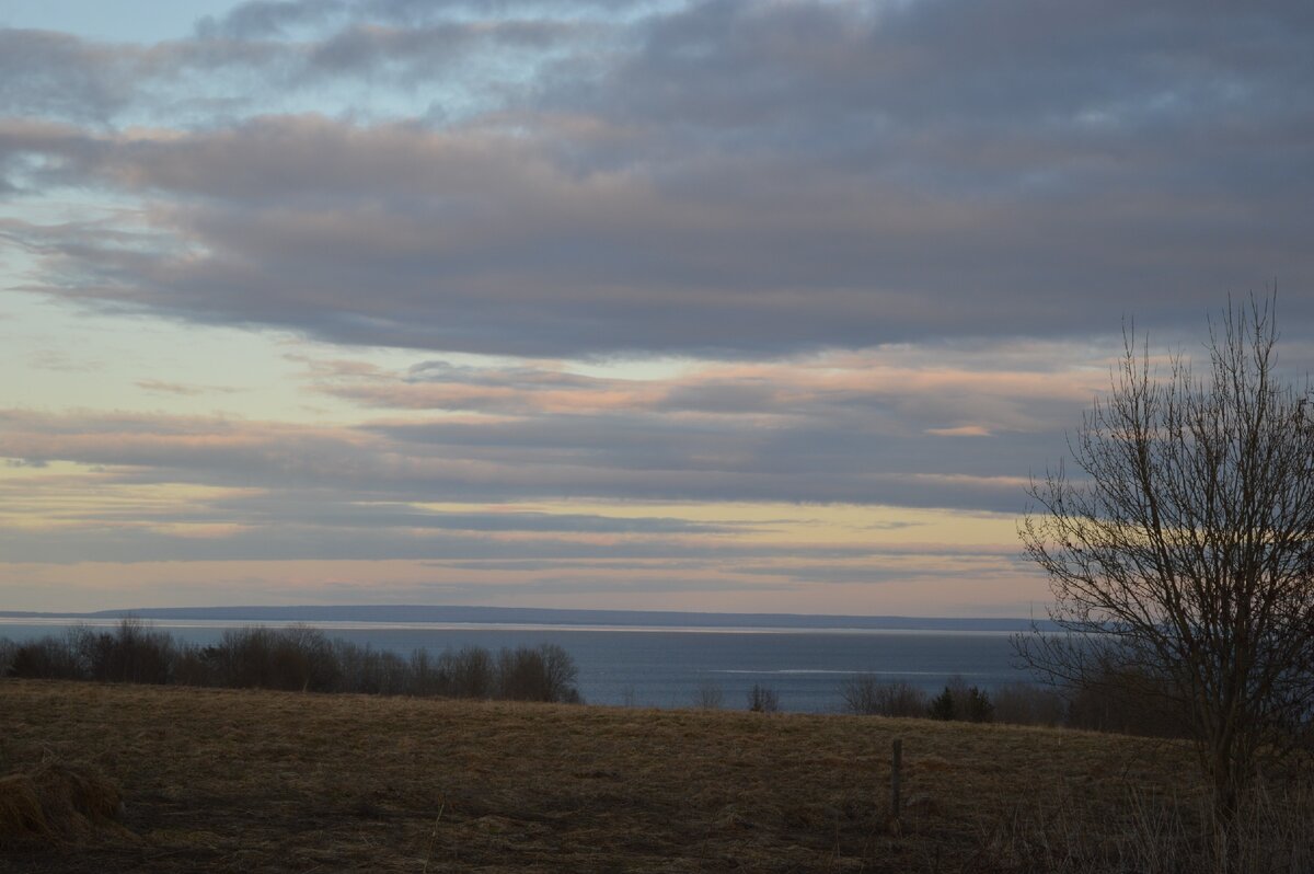 Берег Онежского озера