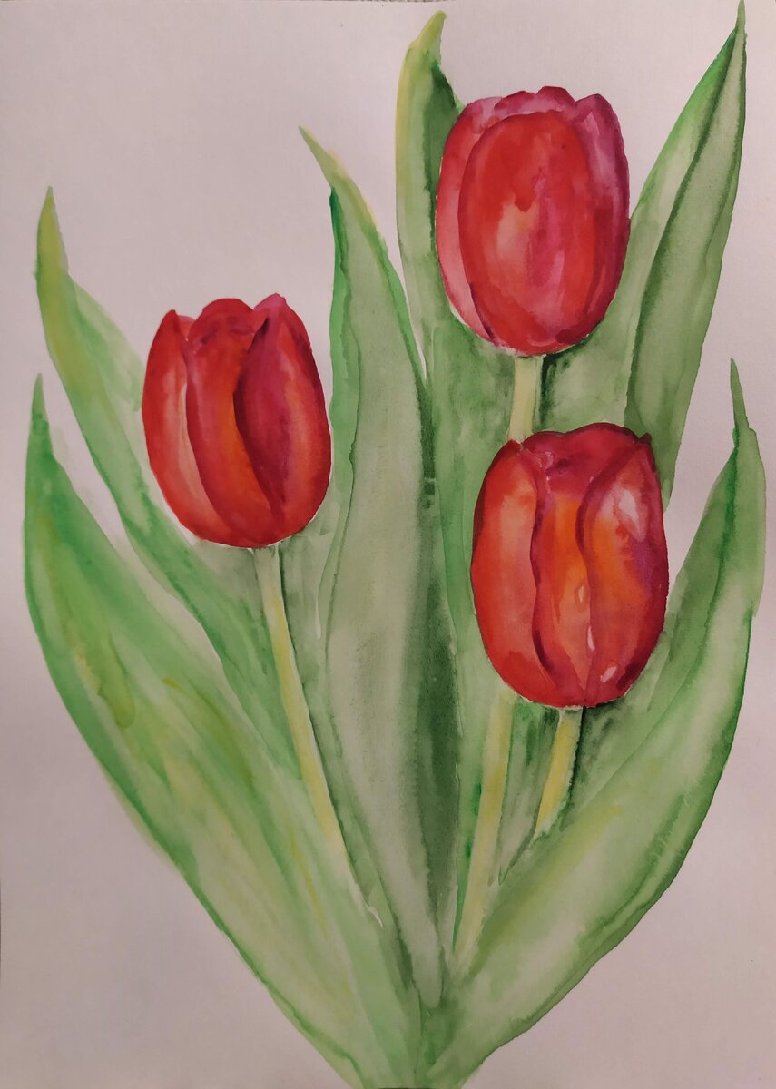 Как легко нарисовать тюльпаны акварелью. Рисуем тюльпаны поэтапно. Рисуем с детьми цветы, легко.