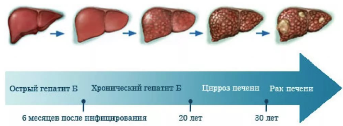 Источник фото: tvoyapechenka.ru