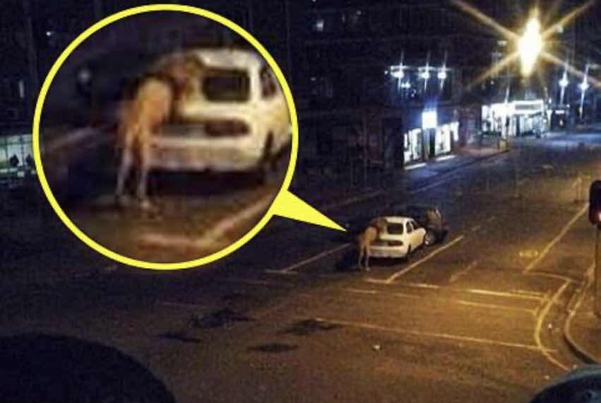 Кадр со съемок  https://today.line.me/tw/article/