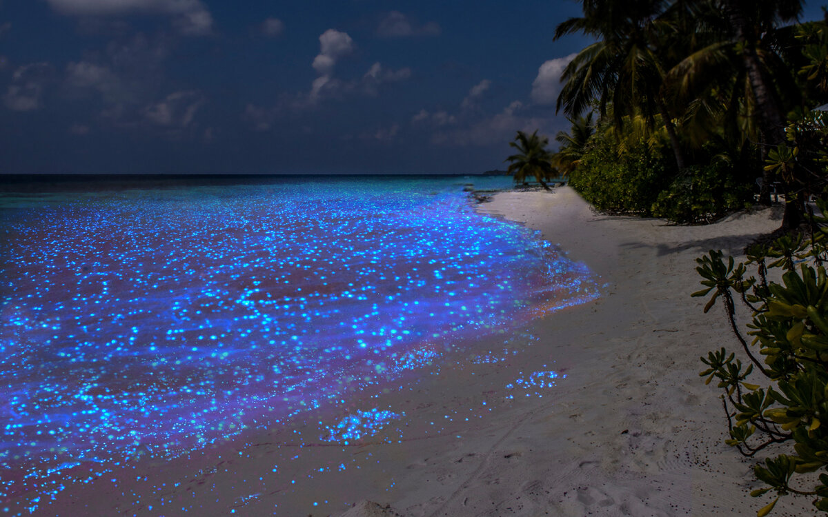 Источник Google картинки