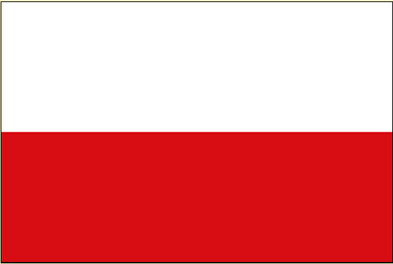 Флаг королевства Богемия до 1918 года.                                                                                                 Флаг Чешской Республики в составе Чехословакии в 1990-1992 годах.