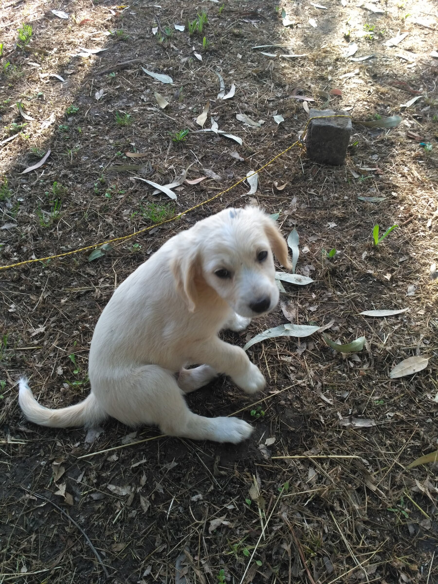 третий - скромняга