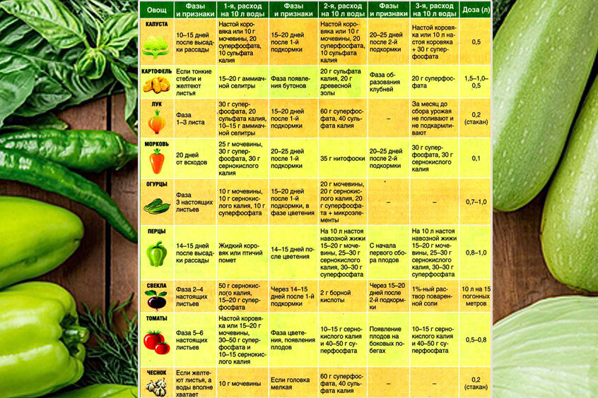 Календарь подкормки. Таблица подкормок овощей органическими удобрениями. Удобрения и таблица внесения удобрений для овощей. Удобрения для овощных культур таблица подкормки. Таблица подкормки огородных растений.
