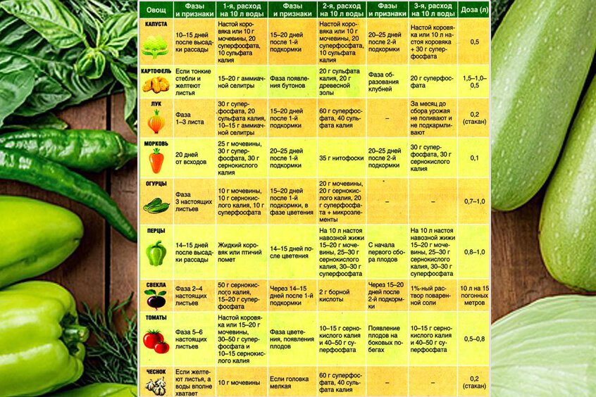 Овощной месяц. Таблица подкормок овощей органическими удобрениями. Удобрения для овощных культур таблица подкормки. Таблица подкормки огородных растений. Таблица подкормки рассады овощей.
