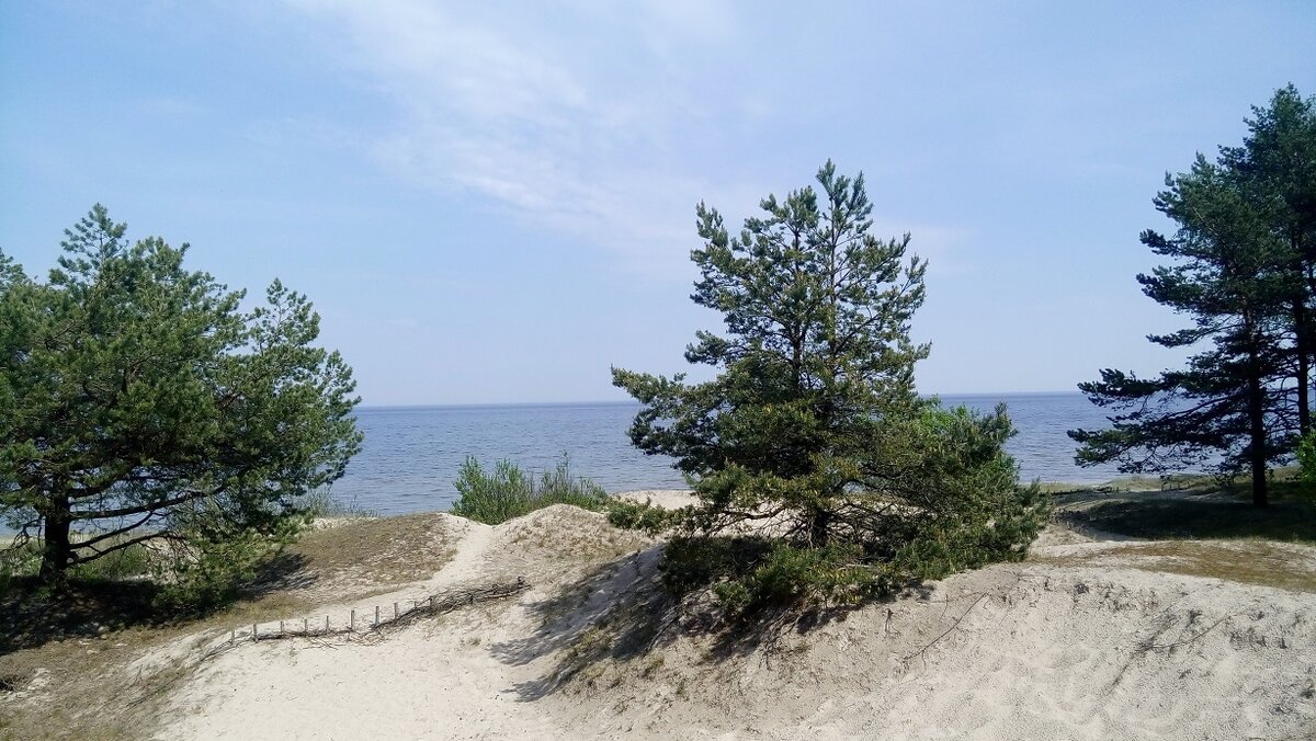 Плиеньциемс, май 2019