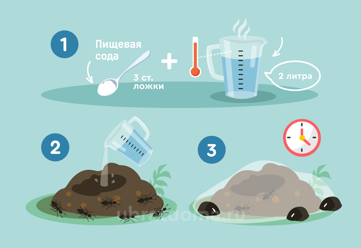 Вот, кстати, хороший проверенный мною способ быстро разорить муравейник и не поджигать его.