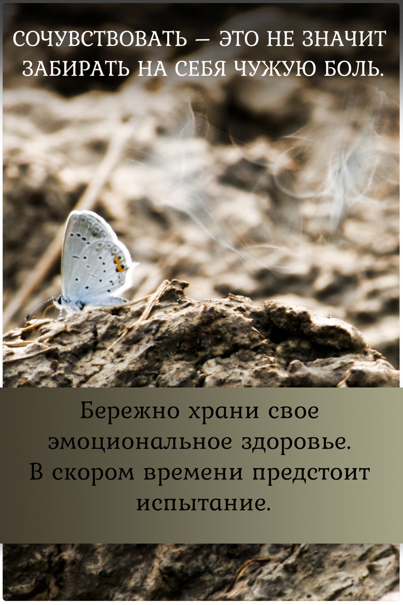 Карты предсказаний Niza. Пролистай и найди свою карту. Она отзовется тебе эмоцией.