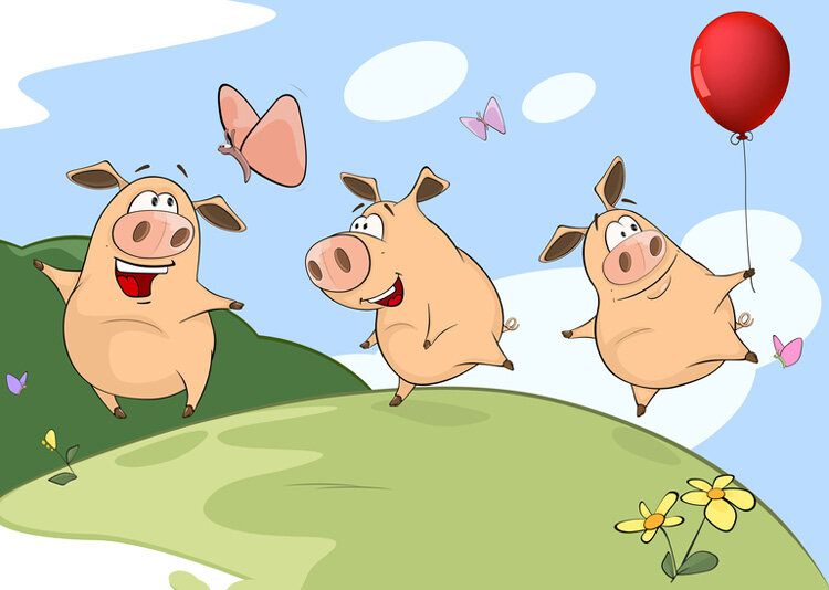 Свинки из интернета