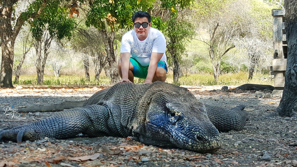 Изображение взято с портала yandex.ru/images.