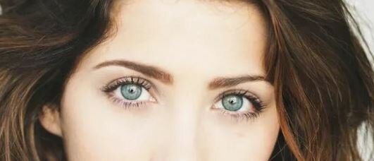 из свободного доступа в интернете