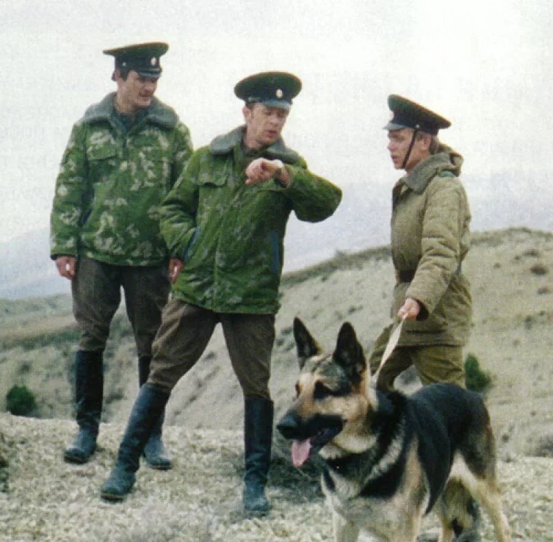 Кадр из фильма "Пограничный пес Алый" (фото из интернета)